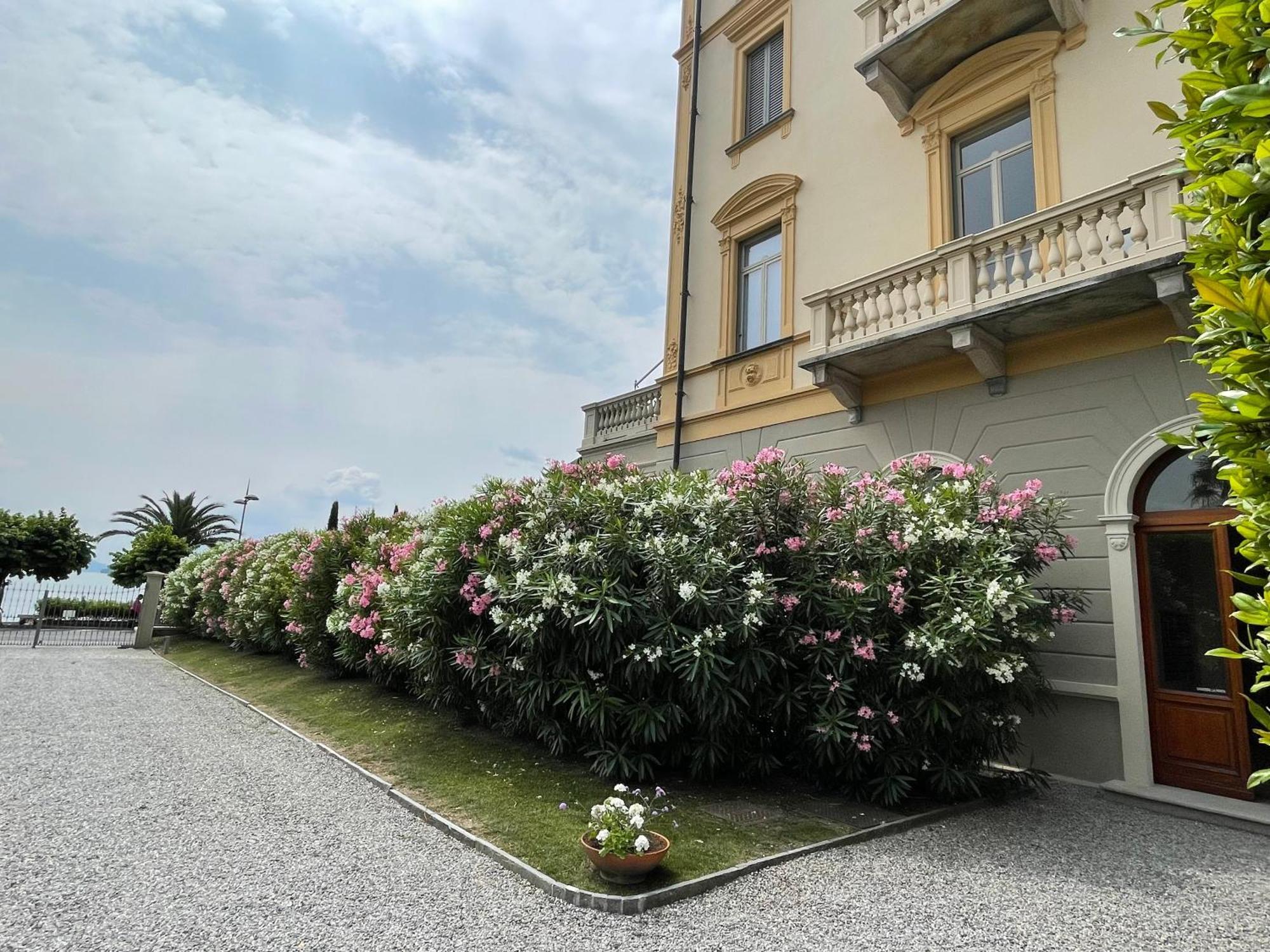 Residenza Victoria Apartment Менаджо Екстериор снимка
